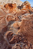 Erodierter weißer Pillow Rock oder Brain Rock Sandstein in der White Pocket Recreation Area, Vermilion Cliffs National Monument, Arizona. Sowohl der rote als auch der weiße Sandstein sind Navajo-Sandstein, aber der rote hat mehr Eisenoxidanteil