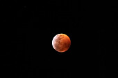 Lunar eclipse of a super blood wolf moon at totaliity, 21 January 2019, viewed from Uxmal, Yucatan, Mexico.
