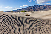 Ripples in the Mesquite Flat sand dunes in Death Valley National Park in the Mojave Desert, California. Panamint Mountains behind