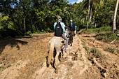 Tourists on horses on a trail ride in the rainforest on the Samana Peninsula, Dominican Republic.