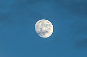 Ein zunehmender Gibbous-Mond mit Wolken, fotografiert bei Tageslicht mit einem Teleobjektiv über New Mexico