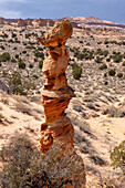 Die Schachkönigin oder der Totempfahl ist ein erodierter Sandsteinturm in der Nähe der South Coyote Buttes, Vermilion Cliffs National Monument, Arizona