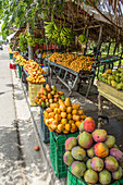 Menschen verkaufen Mangos an einem Obststand am Straßenrand in Bani, Dominikanische Republik
