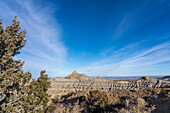 Angel Peak Scenic Area in der Nähe von Bloomfield, New Mexico. Ein Wacholderbaum mit dem Angel Peak im Hintergrund und den Kutz Canyon Badlands darunter