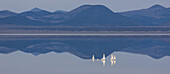 Tufa rock formations reflected in Mono Lake in California.