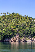Kalksteinfelsen und Palmenhaine an der Küste der Bucht von Samana in der Dominikanischen Republik
