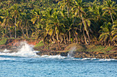 Crashing waves on the limestone coral shore near Samana, Dominican Republic. Palm trees line the shore.