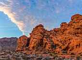 Desert plants and colorful eroded Aztec sandstone formations in Valley of Fire State Park in Nevada.