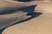 Curving crest of a dune in the Mesquite Flat Sand Dunes in the Mojave Desert in Death Valley National Park, California.