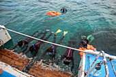 Snorkeling in Ishigaki, Okinawa Prefecture, Japan