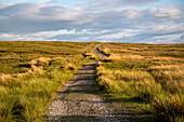 Narrow road in countryside in England