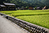 Shirakawa-go, traditional village showcasing a building style known as gassho-zukuri, Gifu Prefecture, Japan