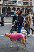 Thousands of people demonstrate in Spain to demand an end to hunting with dogs, Zaragoza, Spain