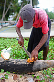 Coconut seller cuts the coconut on Unawatuna beach, Sri Lanka
