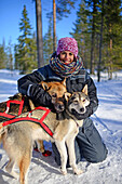 Junge Frau erhält Liebe von freundlichen Hunden. Wildnis-Husky-Schlittentour in der Taiga mit Bearhillhusky in Rovaniemi, Lappland, Finnland