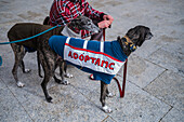 Thousands of people demonstrate in Spain to demand an end to hunting with dogs, Zaragoza, Spain