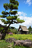 Shirakawa-go, traditional village showcasing a building style known as gassho-zukuri, Gifu Prefecture, Japan