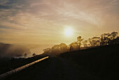 Analog photograph of a landscape at sunset in Basque Country, Spain
