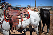 Navajo Nation Fair, eine weltbekannte Veranstaltung, die die Landwirtschaft, die Kunst und das Kunsthandwerk der Navajo vorstellt und durch kulturelle Unterhaltung das Erbe der Navajo fördert und bewahrt. Window Rock, Arizona