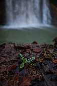 Monasterio de Piedra Natural Park, located around the Monasterio de Piedra (Stone Monastery) in Nuevalos, Zaragoza, Spain