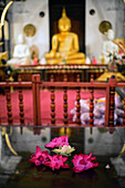 Goldene Buddha-Statue im Inneren des Tempels der heiligen Zahnreliquie, Kandy, Sri Lanka,