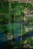 Monasterio de Piedra Natural Park, located around the Monasterio de Piedra (Stone Monastery) in Nuevalos, Zaragoza, Spain