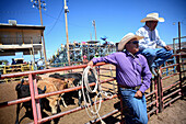 Rodeo-Wettbewerb während der Navajo Nation Fair, einer weltbekannten Veranstaltung, die die Landwirtschaft, die Kunst und das Kunsthandwerk der Navajo vorstellt und durch kulturelle Unterhaltung das Erbe der Navajo fördert und bewahrt. Window Rock, Arizona