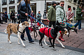 Tausende von Menschen demonstrieren in Spanien, um ein Ende der Jagd mit Hunden zu fordern, Zaragoza, Spanien