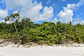 Kondoi beach in Taketomi Island, Okinawa Prefecture, Japan