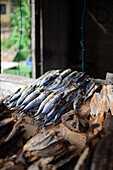 Stand mit getrocknetem Fisch in Peraliya, Sri Lanka