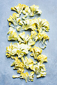 Studio shot of yellow carnation flower petals