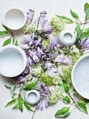 Studio shot of Spring blossoms and ceramic bowls