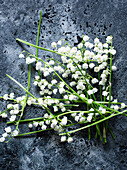 Studio shot of lilies of the valley on stone surface