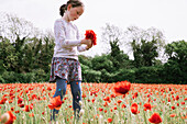 Girl (4-5) picking poppies in field
