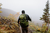 Kanada, Yukon, Whitehorse, Rückansicht Mann beim Wandern in nebliger Landschaft