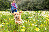Spain, Mallorca, Smiling woman with Golden Retriever in blooming meadow