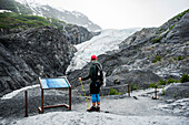 USA, Alaska, Rear view of hiker looking at glacier in Denali National Park