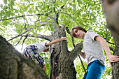 Canada, Ontario, Kingston, Boys (8-9, 14-15) climbing tree