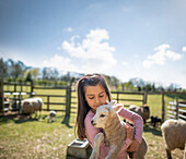 UK, North Yorkshire, Girl (6-7) holding lamb in organic farm