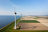 Netherlands, Emmeloord, Wind turbines in fields at coast