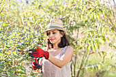 Woman pruning tree in garden