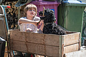 Boy with dog sitting in wooden push cart in garden