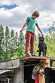 Junge mit Hund steht auf dem Dach einer Kleingartenhütte