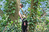 Junge mit Hund auf belaubtem Baum