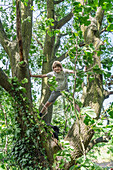 Porträt eines lächelnden Jungen, der auf einem belaubten Baum steht