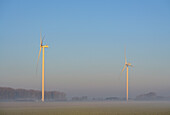 Netherlands, Noord-Brabant, Wind turbines on misty morning