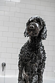 Hund mit Seifenlauge in der Badewanne sitzend
