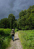 UK, Scotland, Rear view of man with backpack walking in landscape