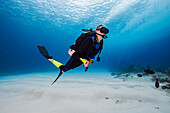 Bahamas, Nassau, Man diving in sea