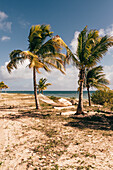 Antigua und Barbuda, Barbuda, Palmen am Strand